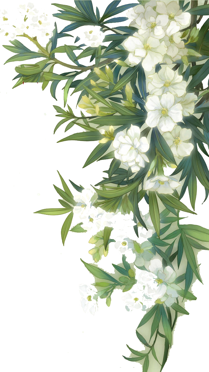 Kanha-flower - Flowers And Leaves Png (700x1245), Png Download
