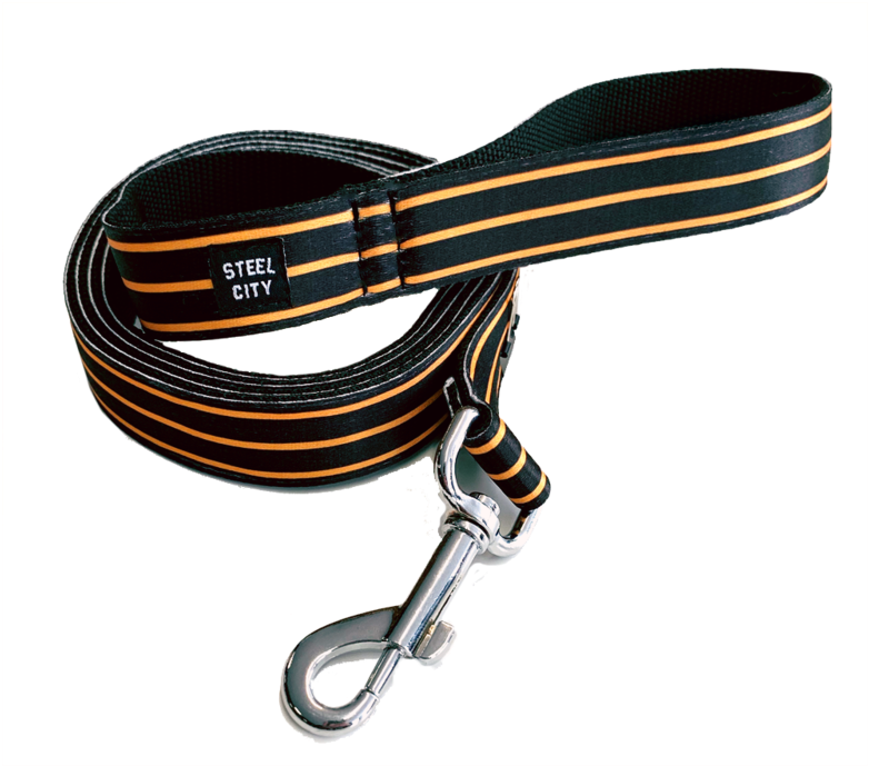 Bars Dog Leash - Dog (800x956), Png Download