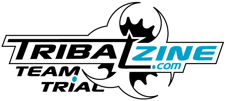 Png - 98 - 9 Kb - Tribal (800x392), Png Download