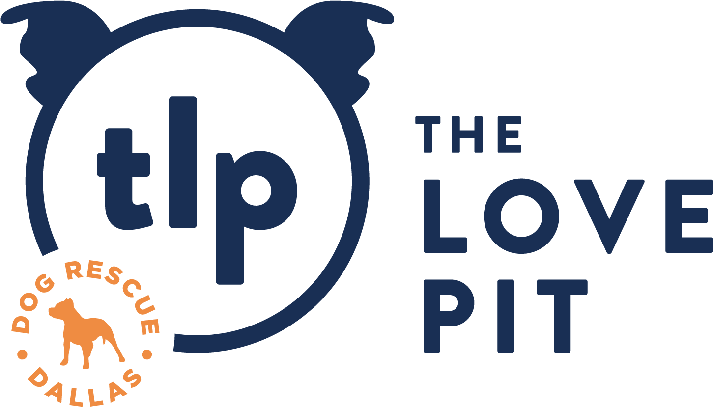 Logo - Love Pit (1600x1000), Png Download