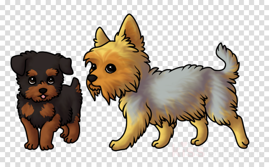 Puppy Clipart Yorkshire Terrier Australian Terrier - Dog (900x560), Png Download