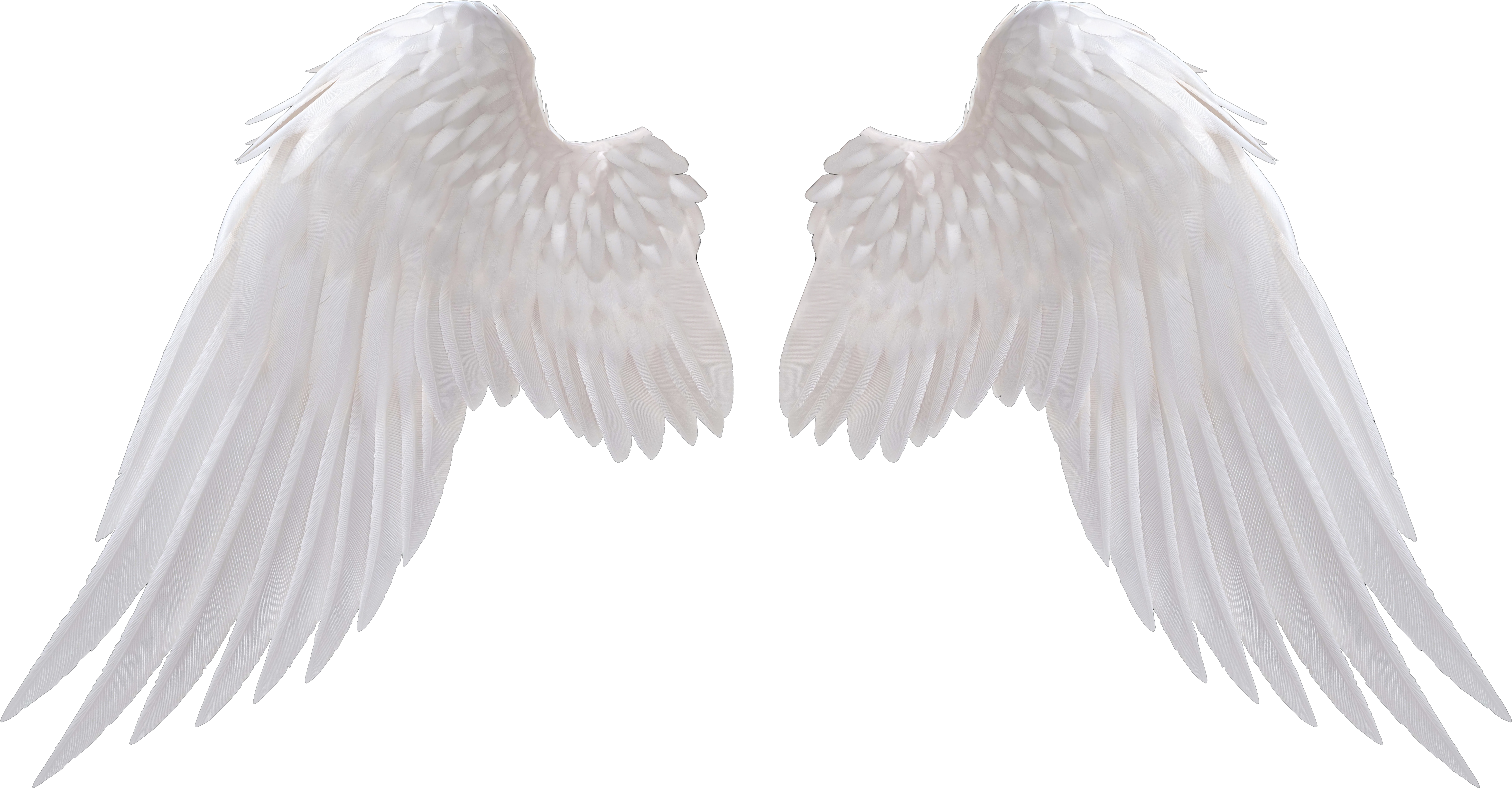 Angel Wings Png Angel Wings Angels ❤ В 2018 Г Pinterest - Angel Wings Png (6460x3552), Png Download