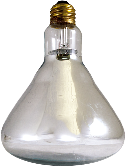 Banner Royalty Free Download Bulb Infra Red Clear W - Transparent Heat Lamp (600x600), Png Download