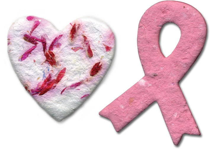 Mini Heart, Wildflower - Mini (800x549), Png Download