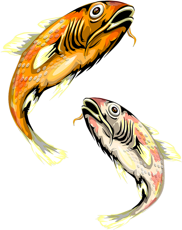Illustration (600x758), Png Download