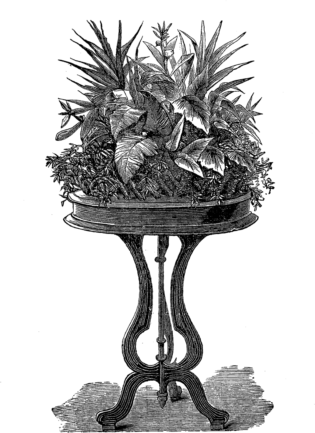 Free Potted Plants Png - Victorian Plant (1067x1600), Png Download