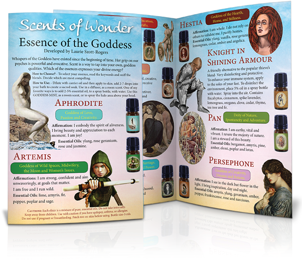 Hestia - Flyer (600x680), Png Download