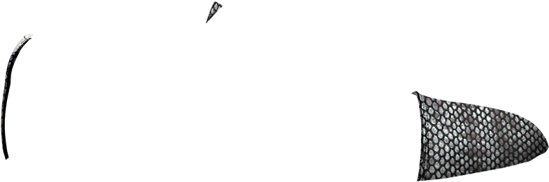 Fantasia-animal Print Taupe - Throw Pillow (860x400), Png Download