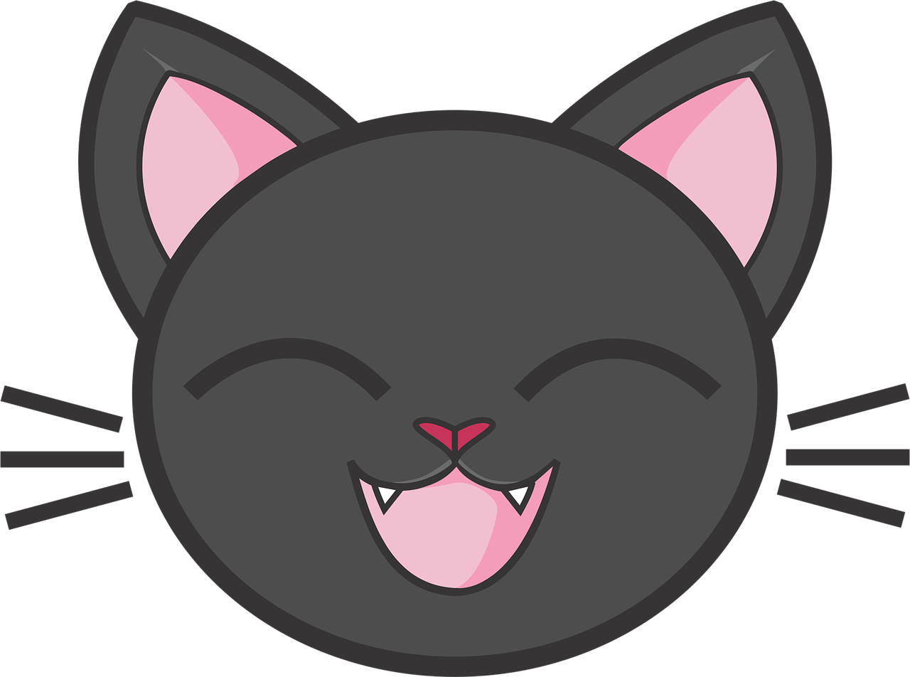 Download Hd Images Cartoon Cats 5 Buy Clip Art Cute Cat Head Drawing Transparent Png Image Nicepng Com