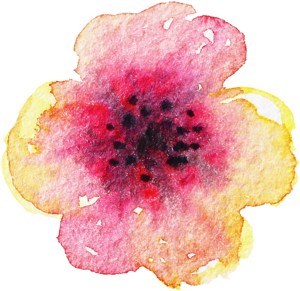Creative Hand Painted Petal Decoration Vector - California Wild Rose (1024x992), Png Download