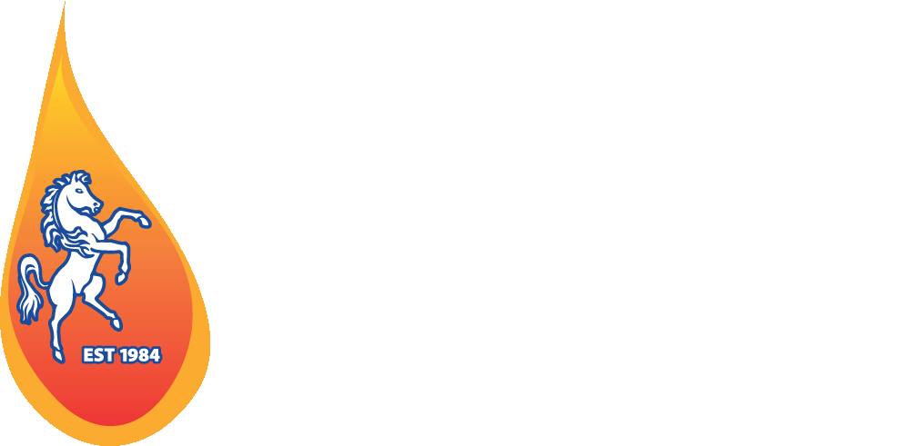 Worcester Bosch Greenstyle Stoves Offer - Graphic Design (1000x491), Png Download