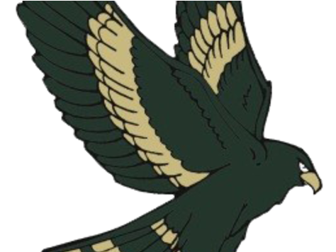 Greenfield Hawks - Greenfield Hawks Logo (480x355), Png Download