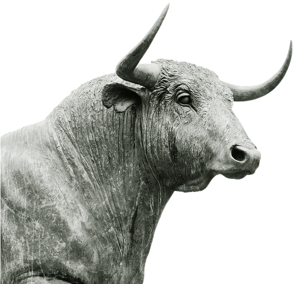 'bull In A China Shop' 'éléphant Dans Un Magasin De - La Cornamenta Del Toro De Lidia : Análisis De Su Integridad (640x612), Png Download