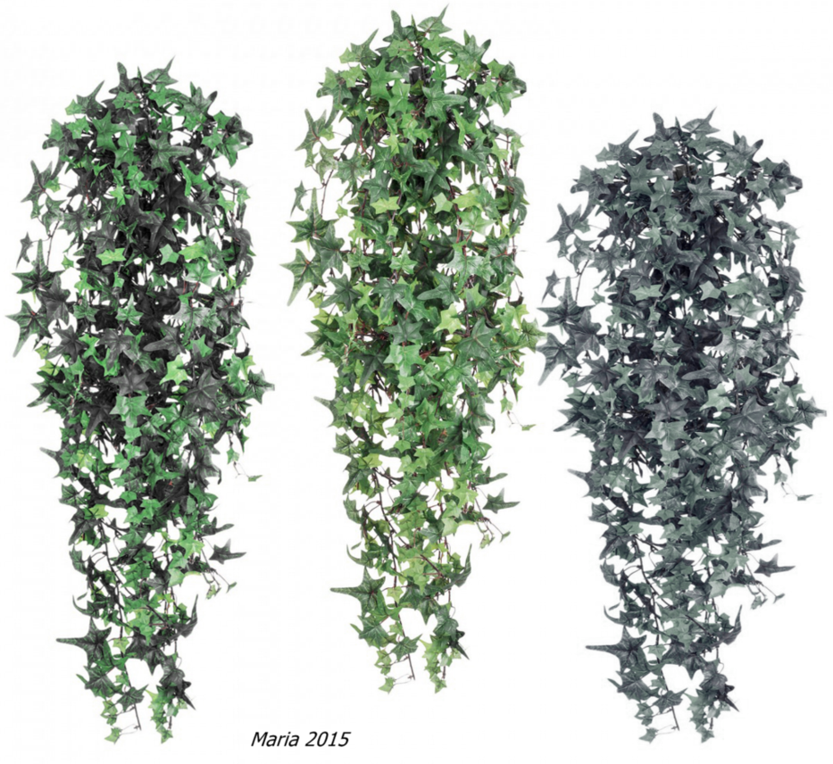 Go To Image - Efeu_branch Png (933x856), Png Download