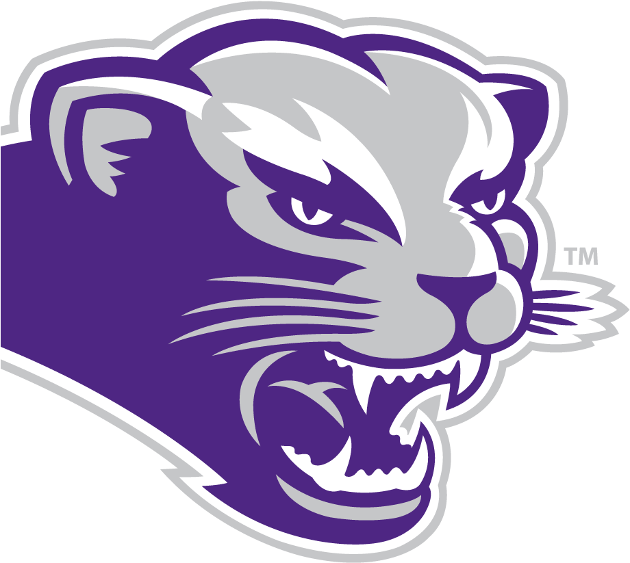 Bearcat Mascot S 119593 2950801 40052 Bearcat - Southwest Baptist University Logo (936x936), Png Download