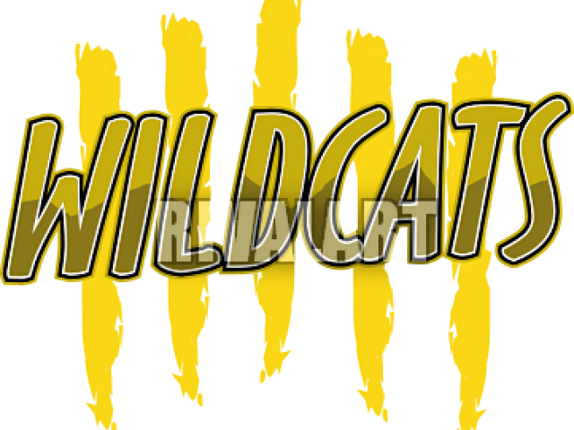 Logo Of Wildcats Yellow (640x480), Png Download