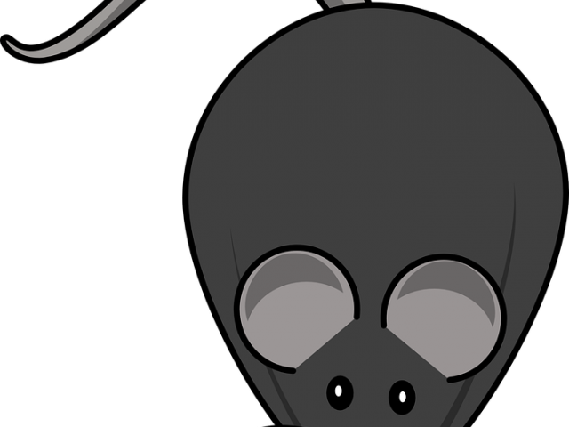 Mouse Animal Cliparts - Rat (640x480), Png Download