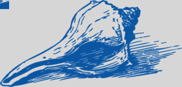 Blue Sea Shell Clip Art At Clker Blue Shell Clipart - Seashell Clip Art (600x288), Png Download