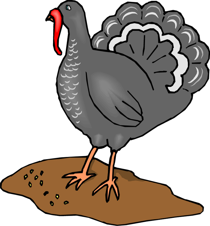 Clip Library Library Baby Turkey Clipart - Fowls Animals Clipart Turkey (698x750), Png Download