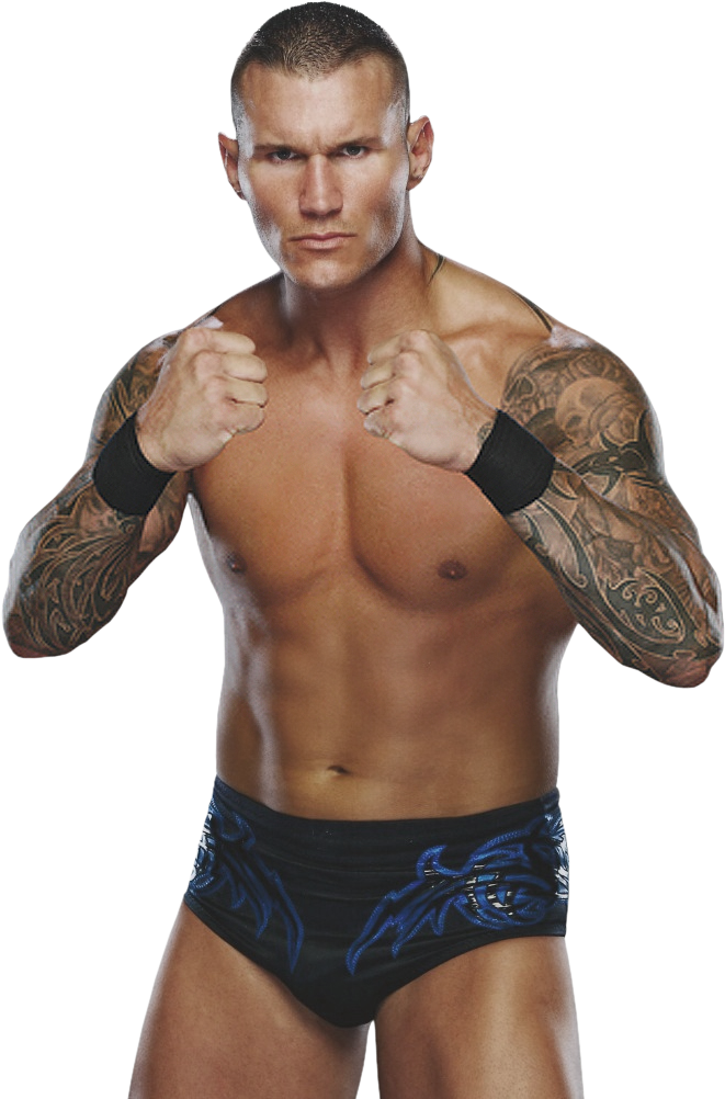 Randy Orton New 2 Adam - Randy Orton Png (661x1002), Png Download