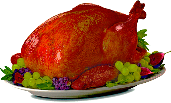 Instant Pot Turkey Stuffing Amp Gravy Pressure Luck - Turkey Meat (600x360), Png Download