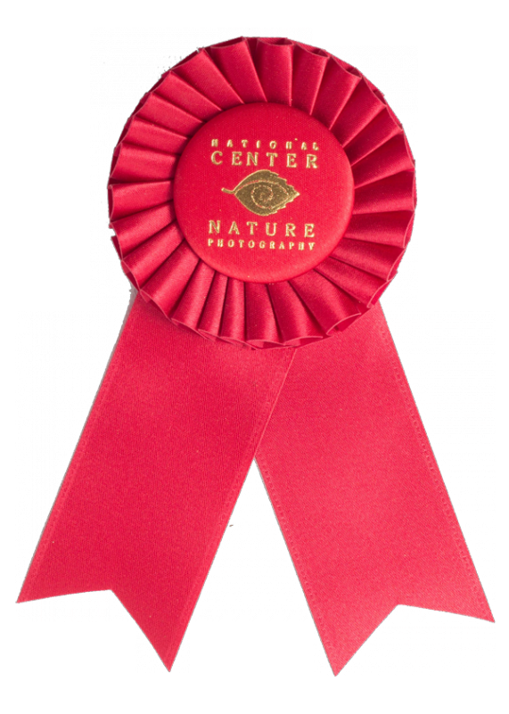 102 Custom Award Rosetterosettesrs 102 962 - Award (800x800), Png Download