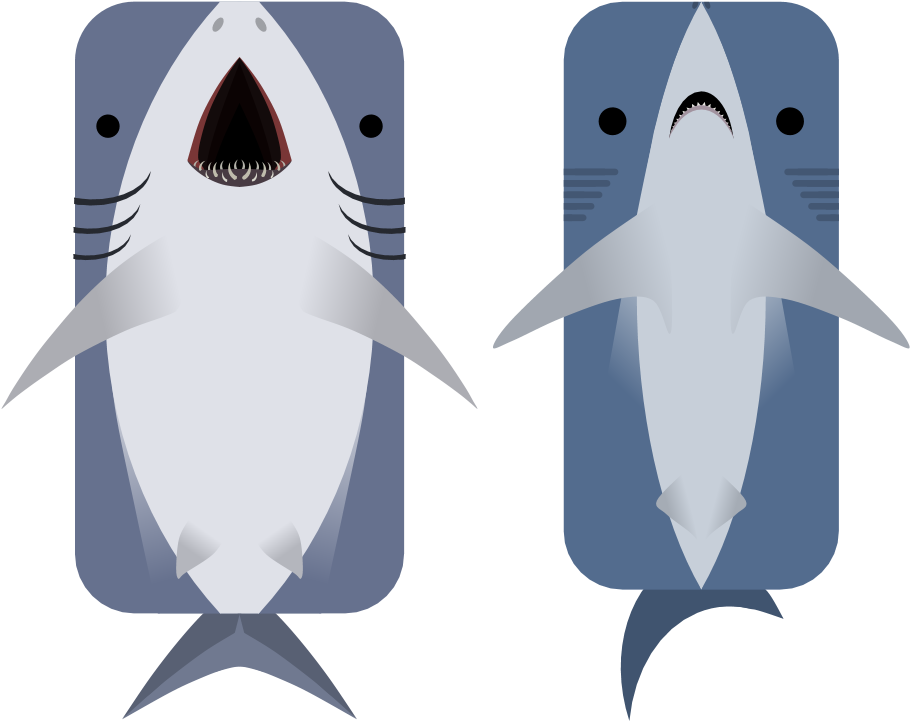 Animal - Blue Shark (960x720), Png Download