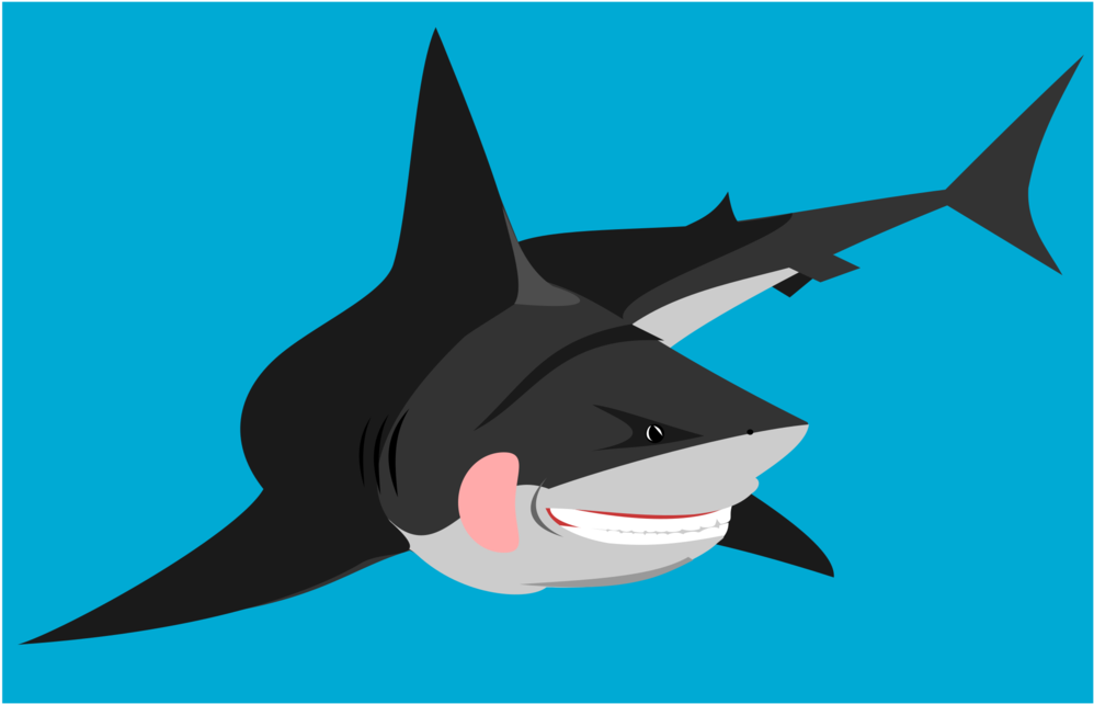 Bull Shark Great White Shark Computer Icons Shark Tooth - Shark (1061x750), Png Download