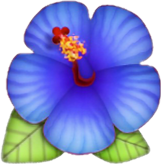 Download HD Flower Emoji Lotus Blue Rose Morelife Png Hibiscus Emoji