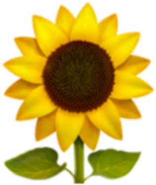 White Flower Emoji Source - Sunflower Emoji Png (1024x1024), Png Download