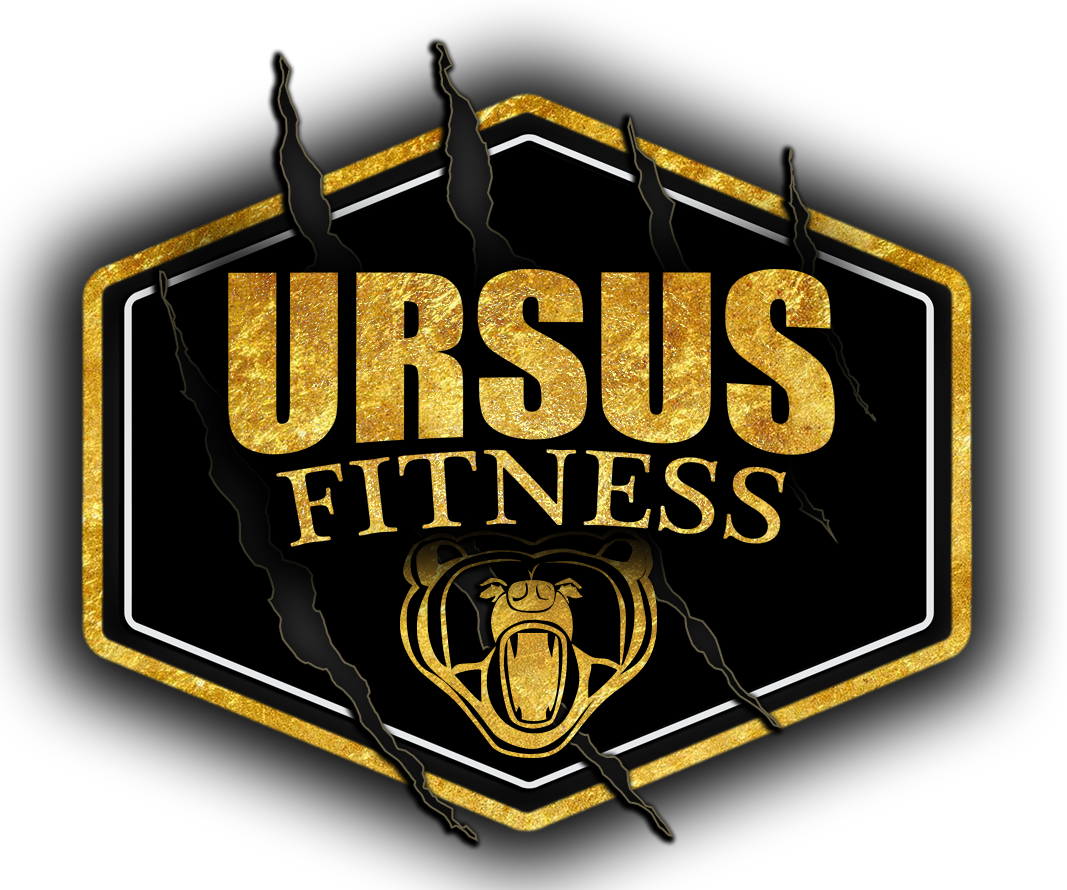 Host - Ursus Fitness (1067x890), Png Download