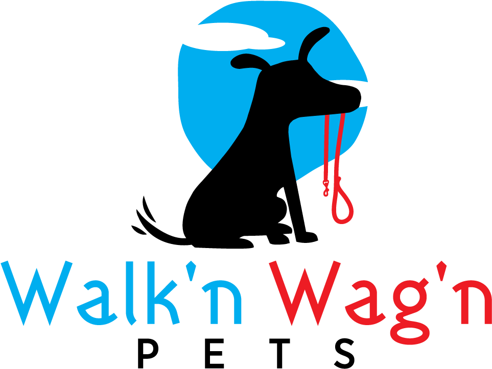 Walking Dog Png (1000x800), Png Download