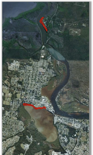 Dead Shoreline Trees And Mangroves In Lake Doonella - Lake Doonella (850x657), Png Download