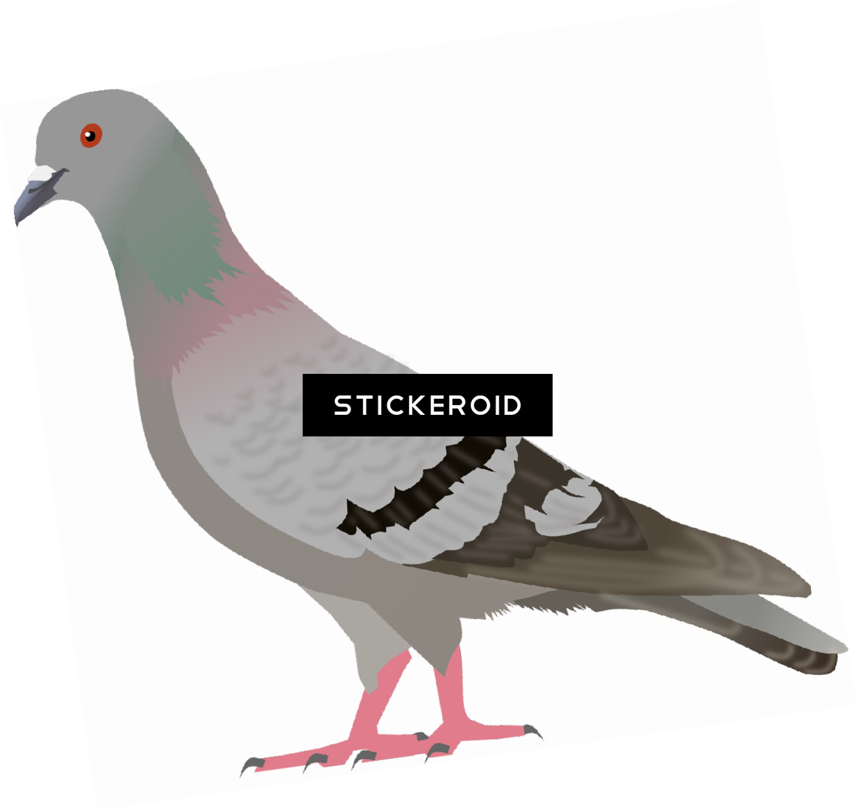 Pigeon - Clip Art (1233x1167), Png Download