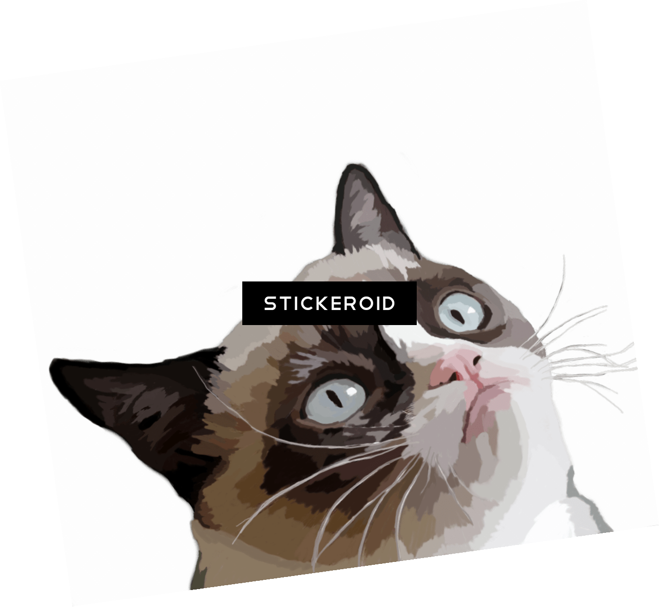 Grumpy Illustration Meme - Schoolsupplies Grumpy Cat Mouse Pad, Office & Gaming (1360x1253), Png Download