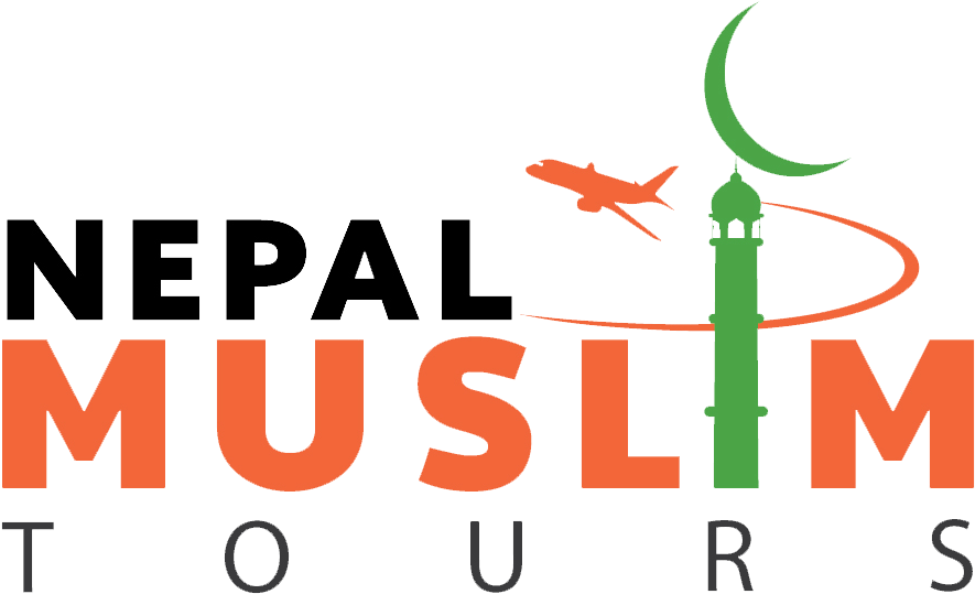 Nmt-logo - Graphic Design (896x545), Png Download