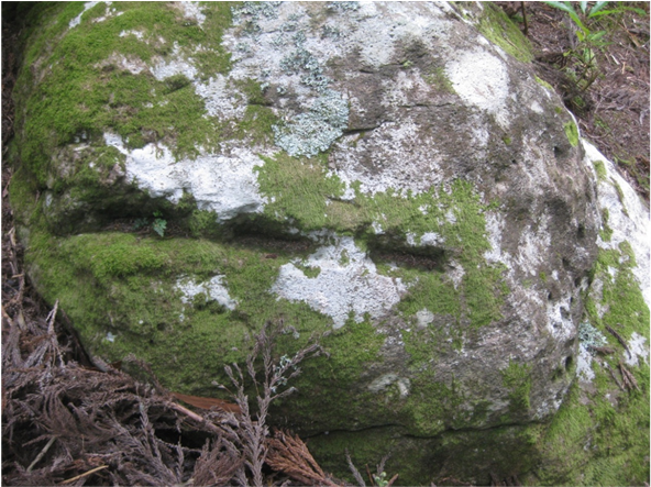 Example Of A Stone With Cut Marks In Front, Cup Marks - Stone East Oriental Transparent Png (902x442), Png Download