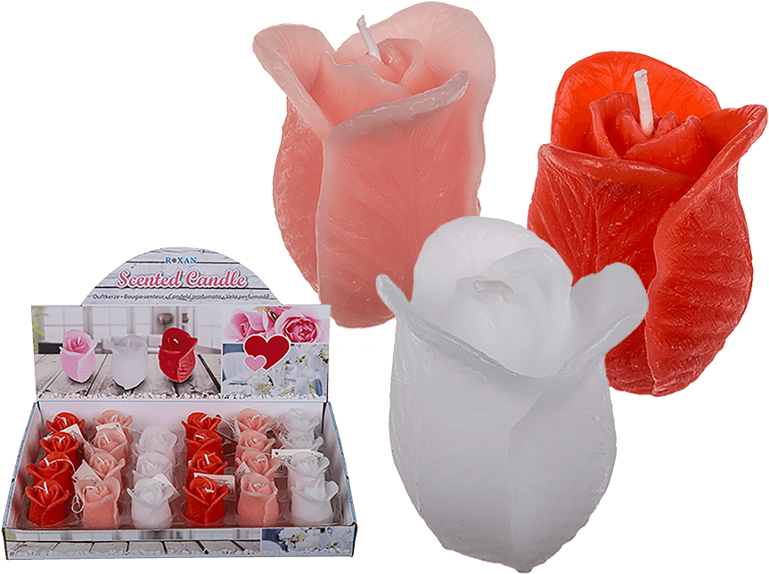 You Are Here - Rose (945x709), Png Download