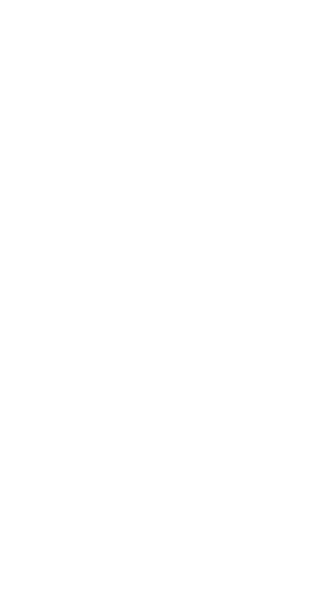 Free Png Floral Decoration Transparent Png Images Transparent - White Decoration Transparent (480x892), Png Download