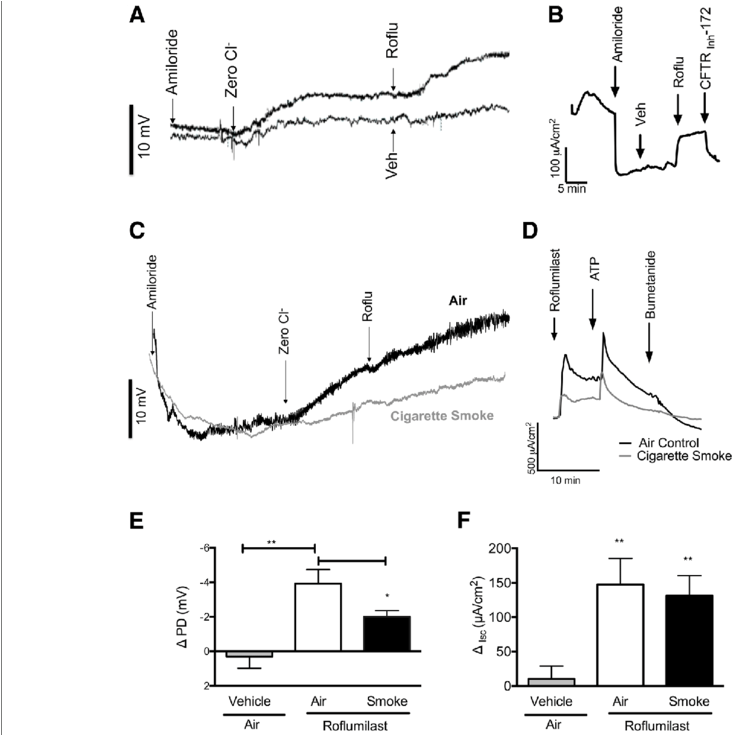 Effect Of Acute Roflumilast Perfusion In Normal And - Fig.1 (850x734), Png Download