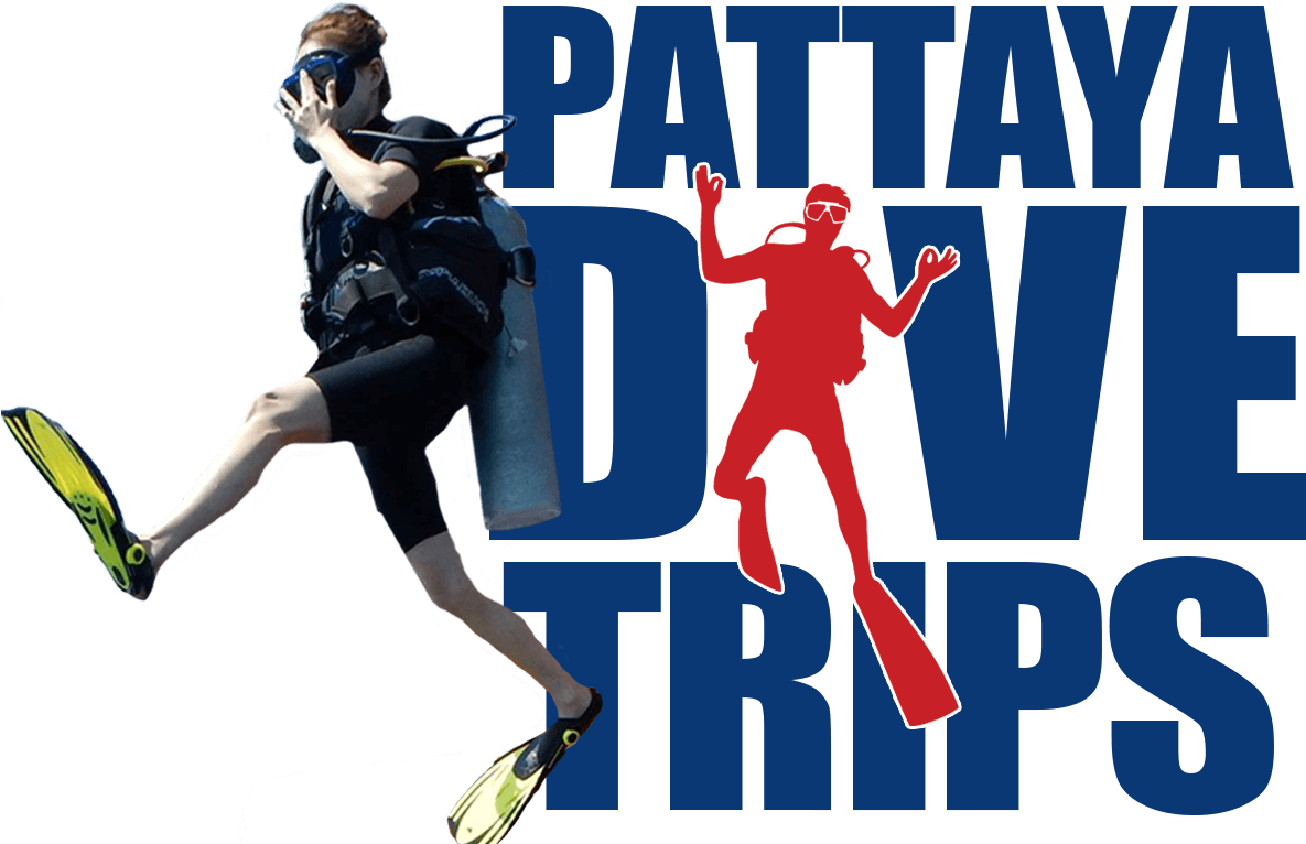 Pattaya Dive Trips Thailand - Pattaya (1204x783), Png Download