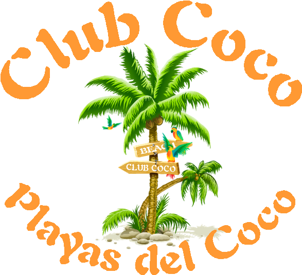 Cocologo1bi - Coconut Tree Png Clipart (593x543), Png Download