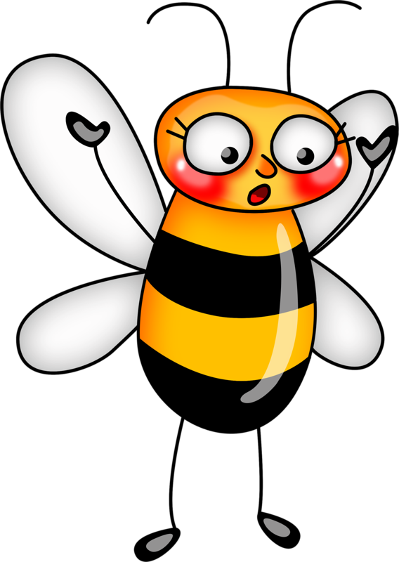 Bee (568x800), Png Download
