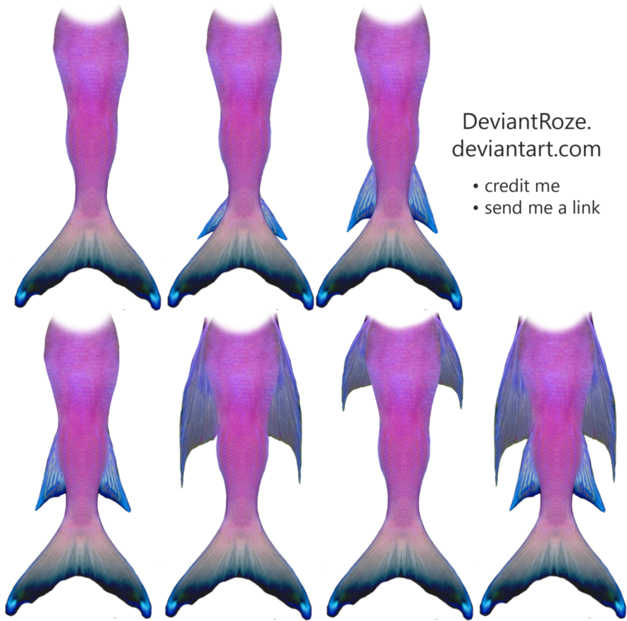 Cute Mermaid Tail Drawing - Drawing Mermaids Tails (889x899), Png Download