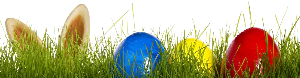 Easter Grass Eggs Png Transparent Image - Easter Eggs Grass Transparent (997x260), Png Download