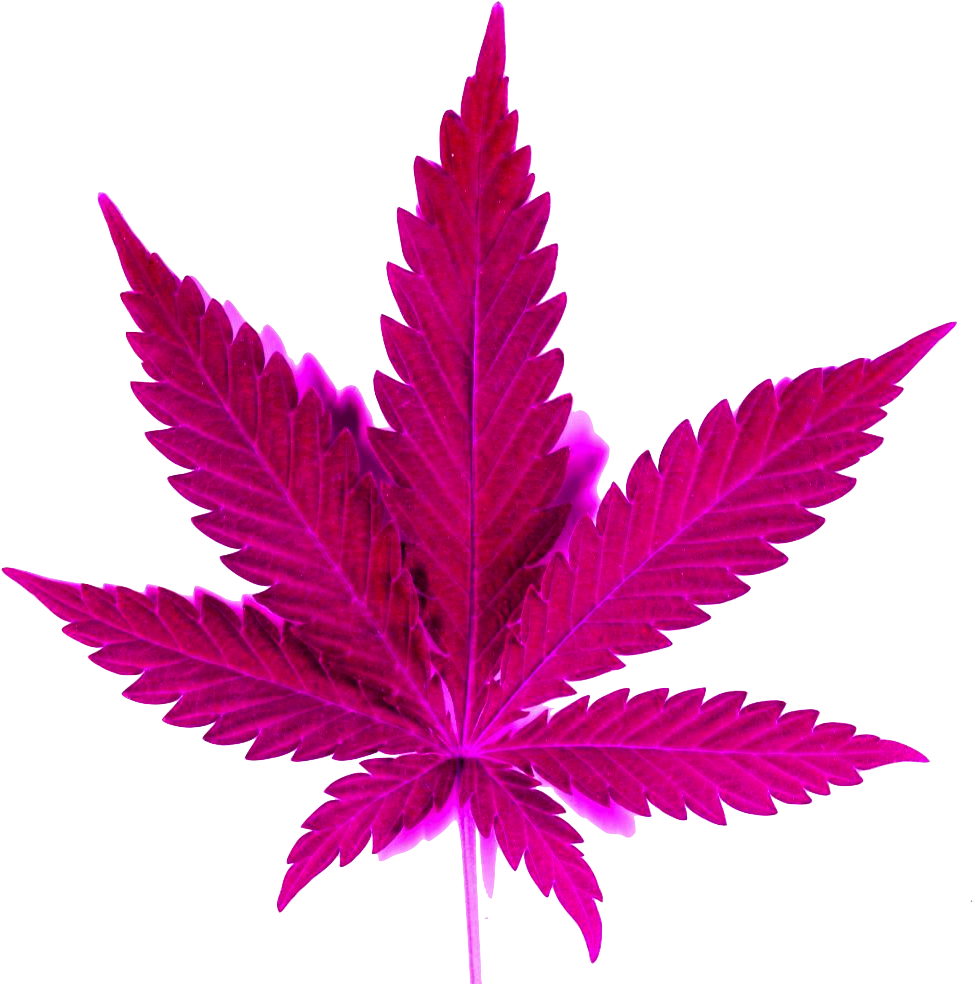 Smoke Clipart Png Tumblr - Marijuana Leaf 5'x7'area Rug (1024x1024), Png Download