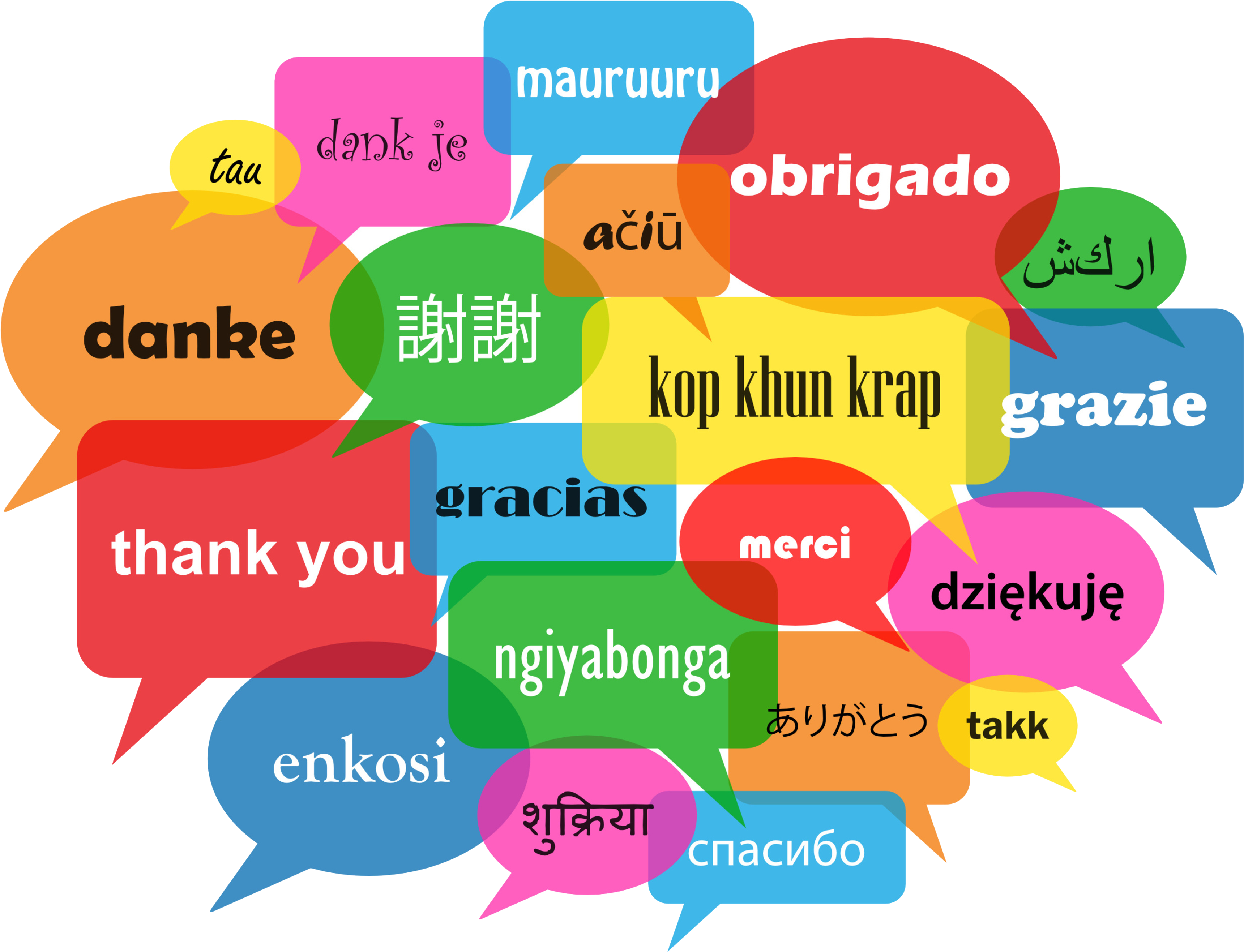 Thank You - Pleasure (3786x2953), Png Download