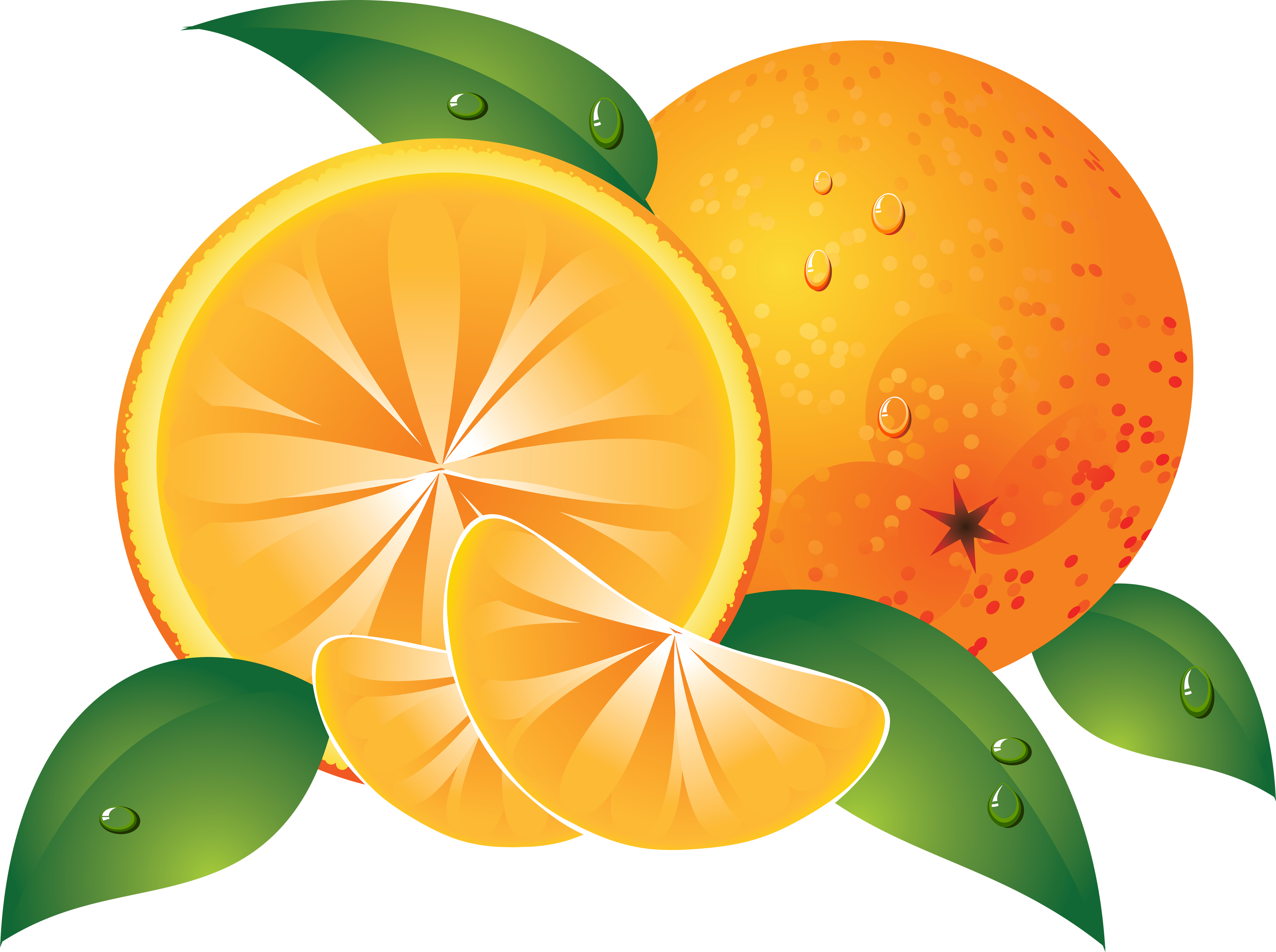 Best Free Orange Transparent Png Image - Fruit Clip Art Orange (3816x2848), Png Download