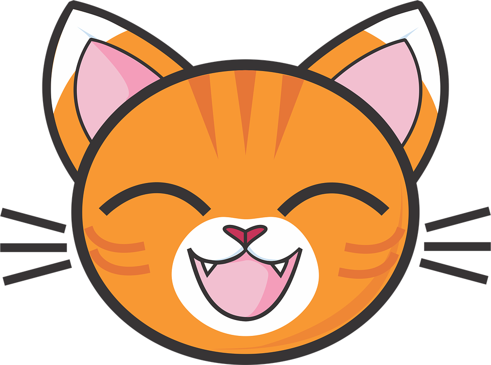 Download Hd Cat Face Clipart Png Transparent Png Image Nicepng Com
