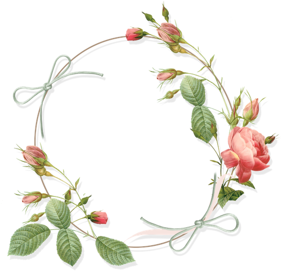 Download Hd Vintage Flowers Rose Frame Flower Frame Flower Art Vintage Flower Design Border Png Transparent Png Image Nicepng Com